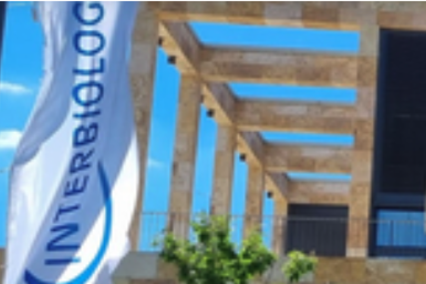 Tinnitus als Spiegel innerer Dysbalance: Ein integrativer Ansatz für Diagnostik und Therapie